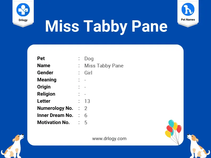 Miss Tabby Pane Name Meaning